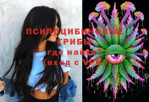 ешки Алексеевка