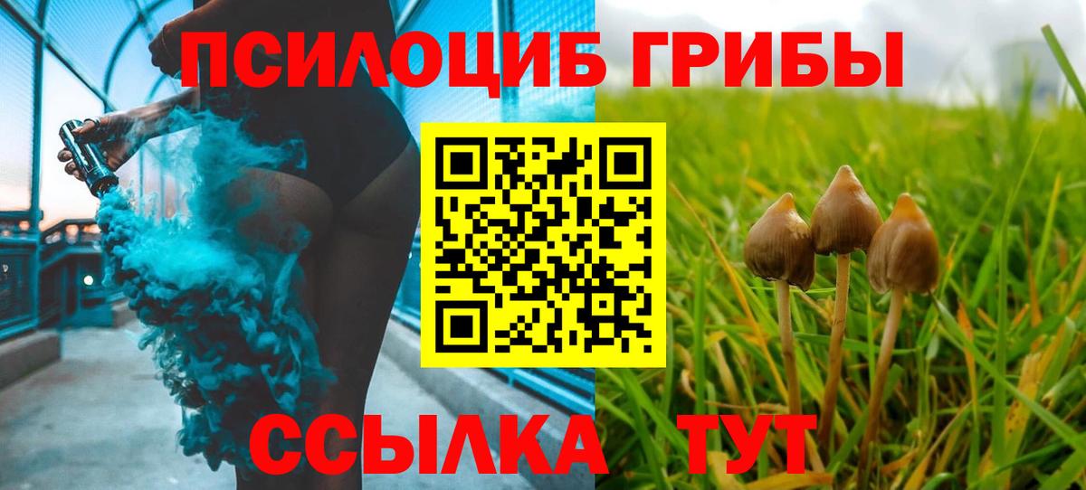 Избербаш  Псилоцибиновые грибы мухоморы  Псилоцибиновые грибы ЛСД  Вход с VPN 