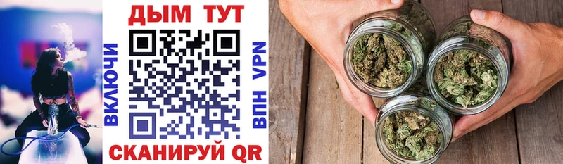 купить наркотики сайты  Избербаш  МАРИХУАНА SATIVA & INDICA 